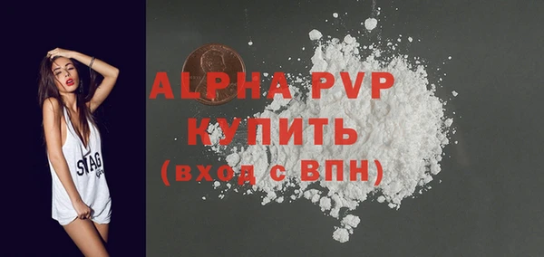 стафф Алексин