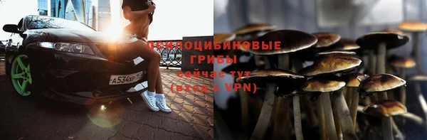 стафф Алексин