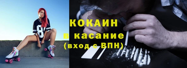 стафф Алексин