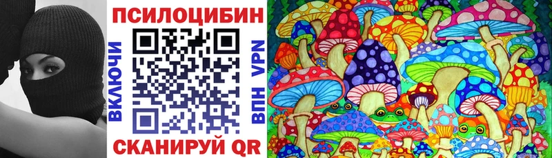 Галлюциногенные грибы прущие грибы  Юрьев-Польский 